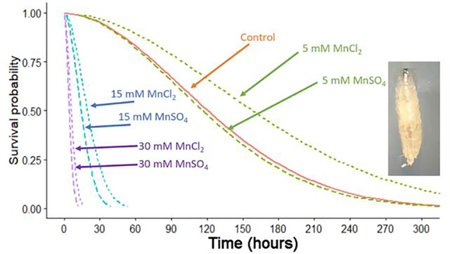 graphic file with name nihms-1749388-f0001.jpg