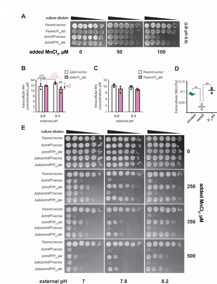 Fig 4