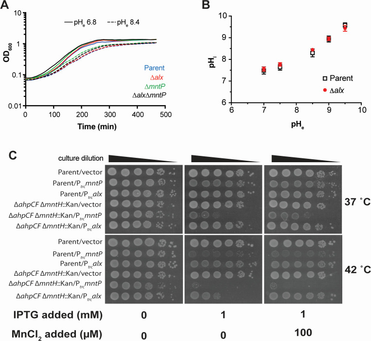 Fig 3