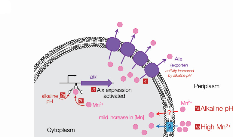 Fig 6