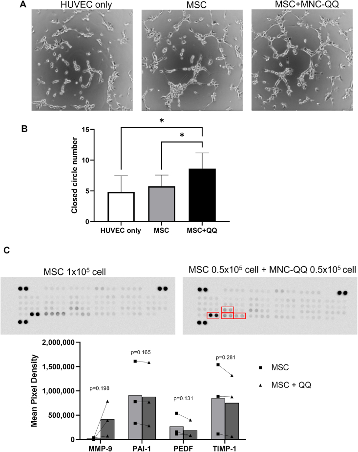 Fig. 2