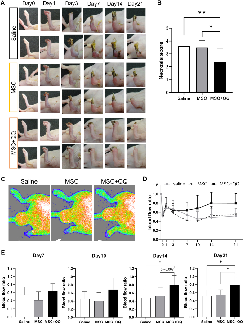 Fig. 3