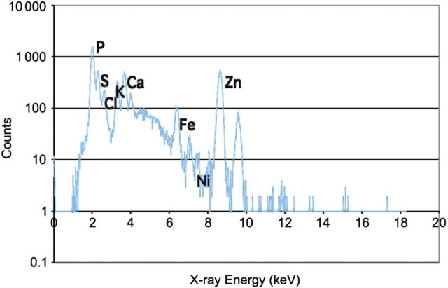 Figure 1