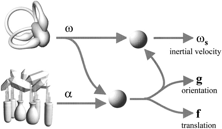 Fig. 12.