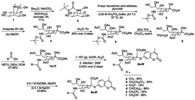 Scheme 1