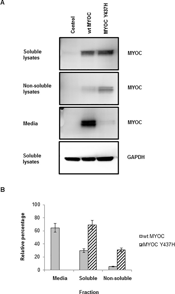 Fig 7