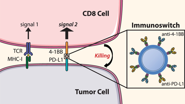 graphic file with name nihms-1753591-f0001.jpg