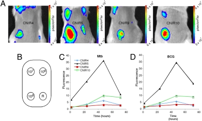 Fig. 4.