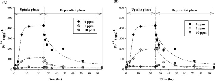 Fig 5