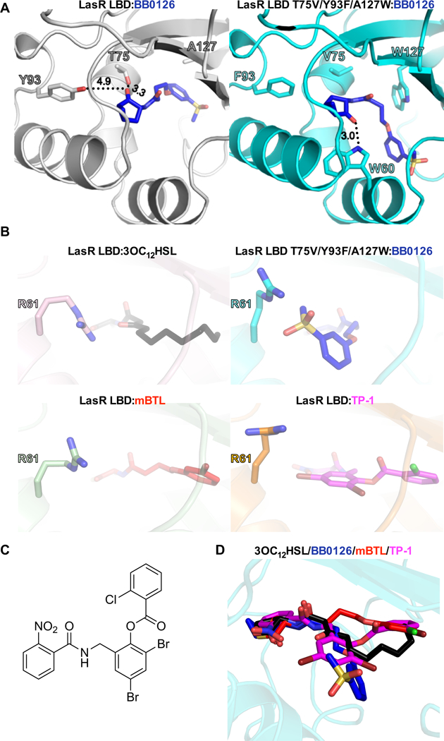 Figure 6.