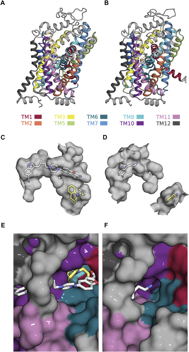 FIGURE 7