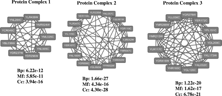 Fig. 3