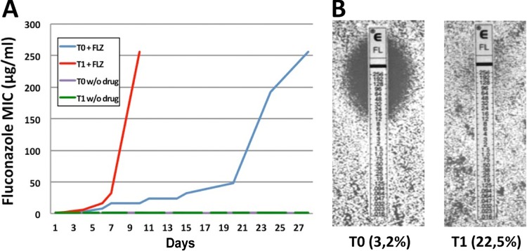 FIG 1 