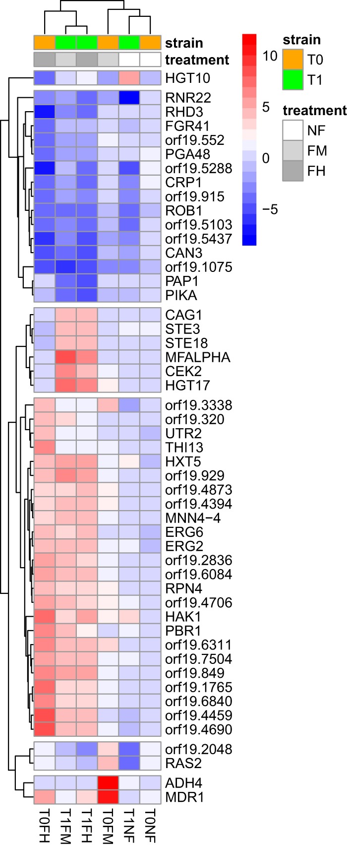 FIG 3 