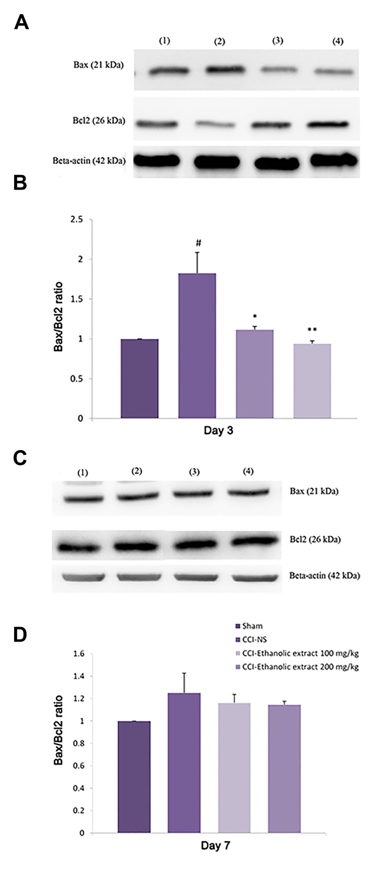 Fig.3