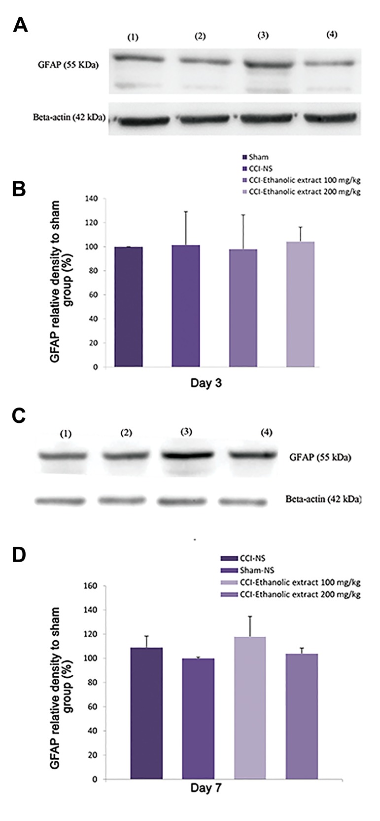 Fig.4