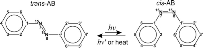 Fig. 1