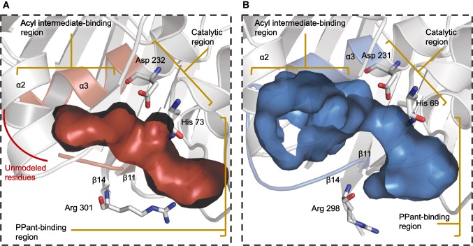 Fig. 3