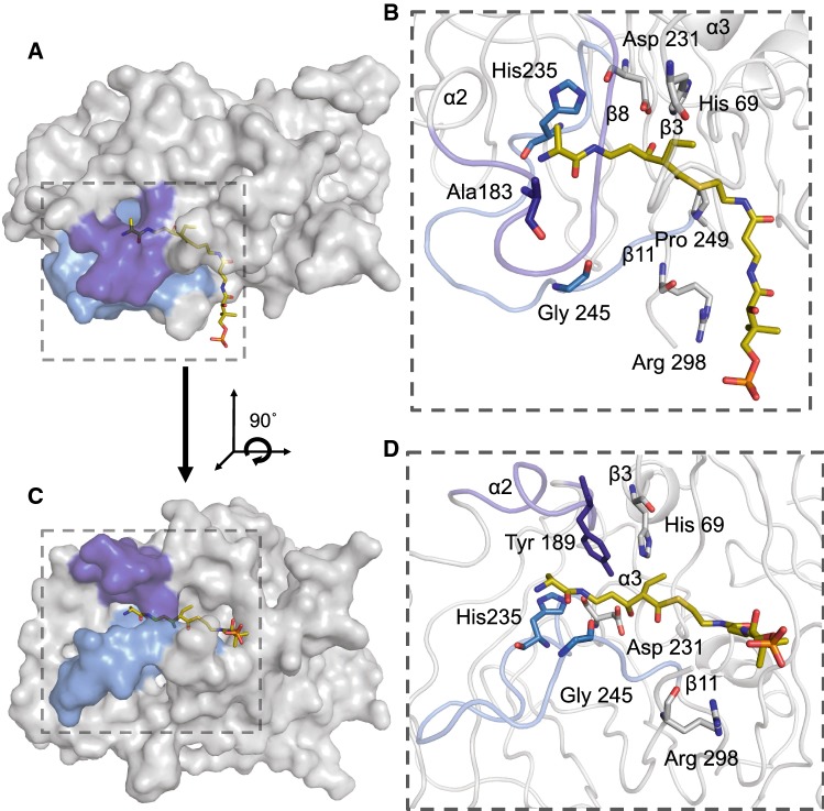 Fig. 4