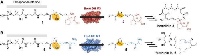 Fig. 1