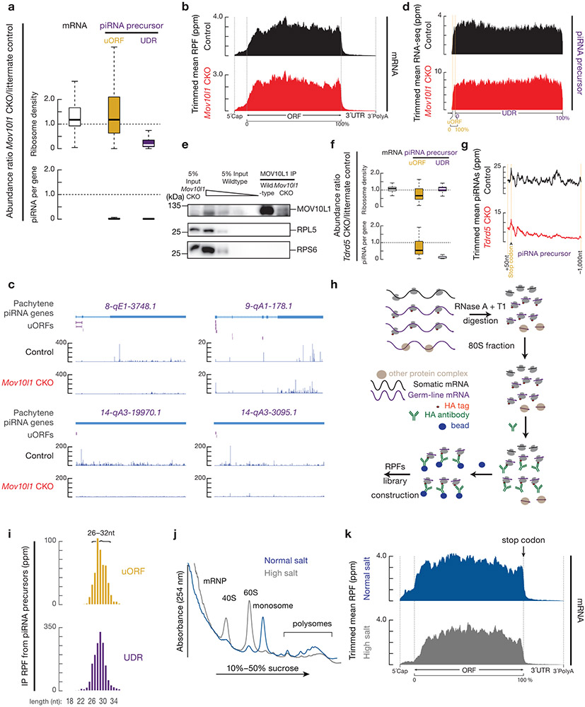 Extended Data Fig. 6