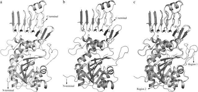 FIGURE 3