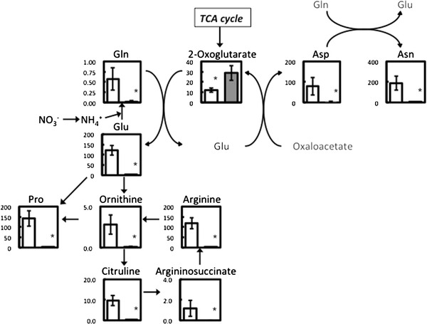 Fig. 3