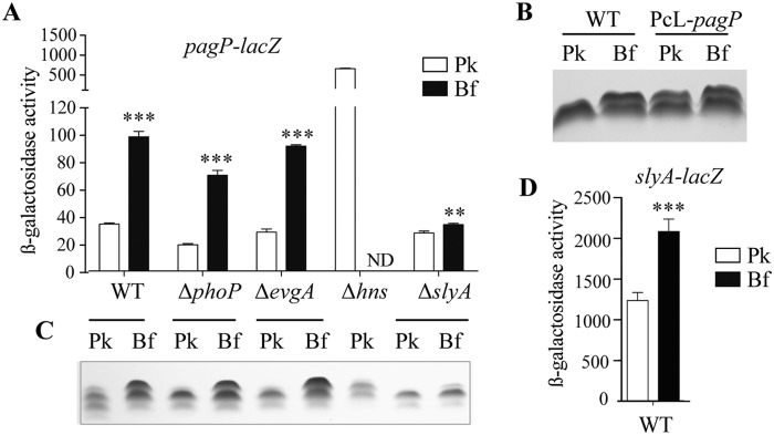 FIG 4 