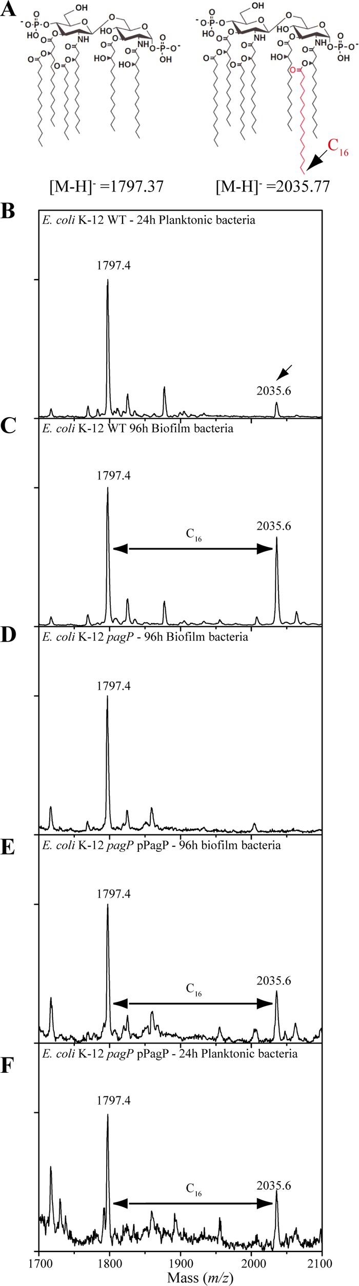 FIG 3 