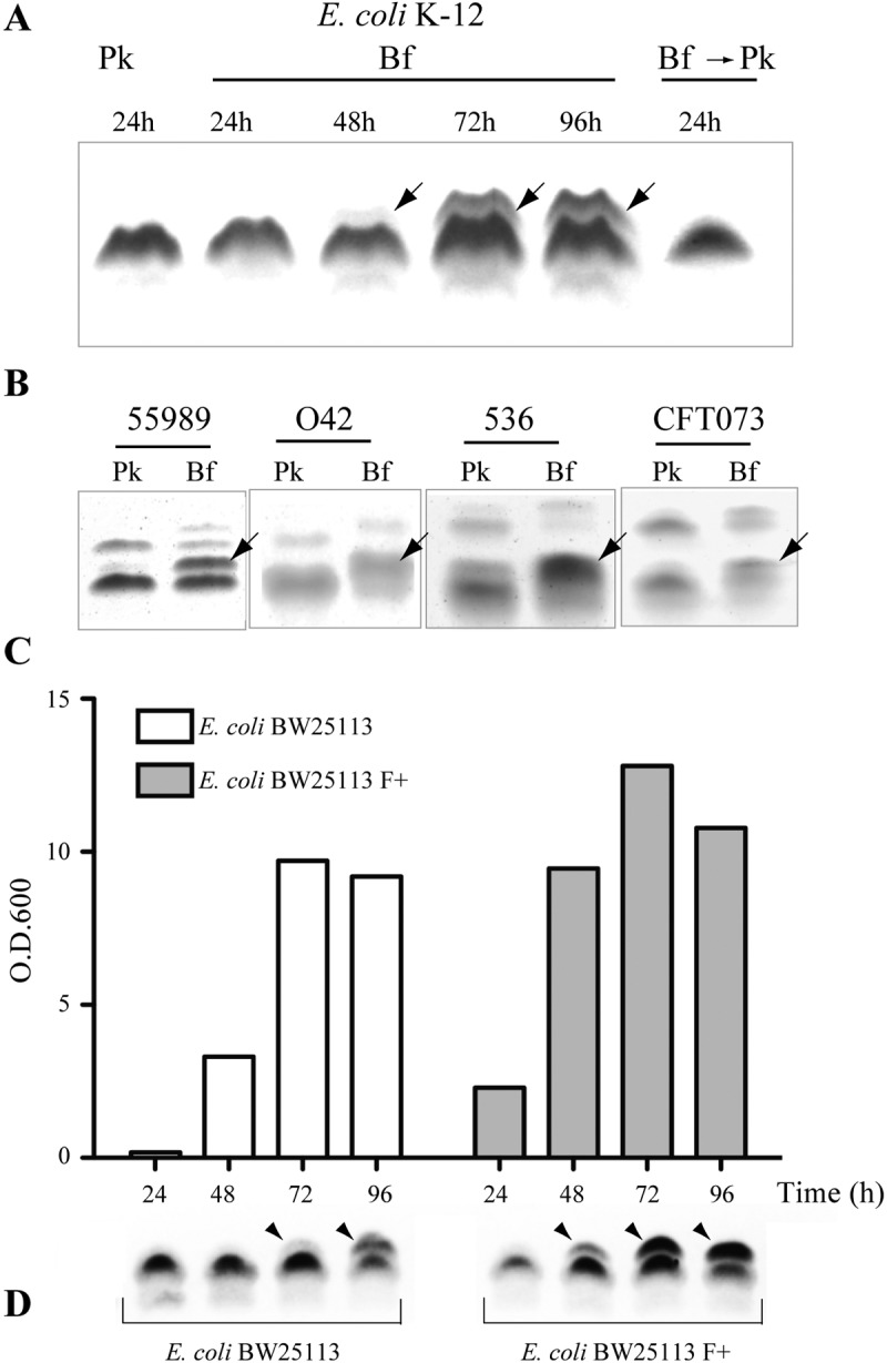 FIG 1 