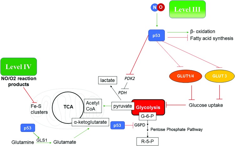 FIG. 6.