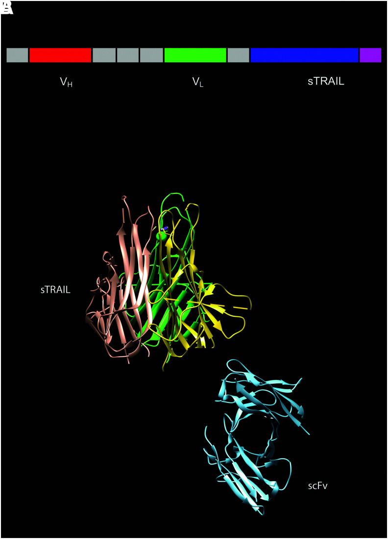 FIG. 3.