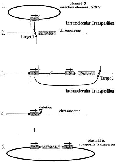 FIG. 5