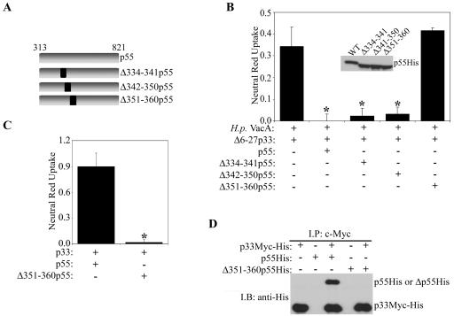 FIG. 8.