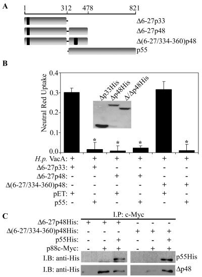 FIG. 6.