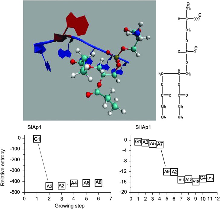 FIG. 1.