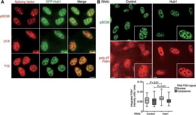 Figure 4