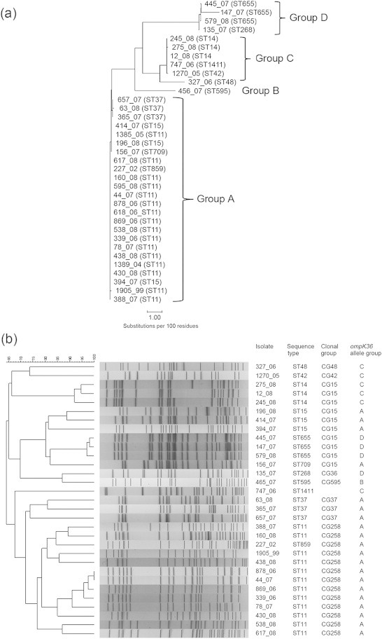 Fig. 1