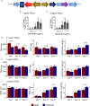 Figure 4—figure supplement 1.