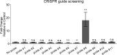 Figure 4—figure supplement 2.