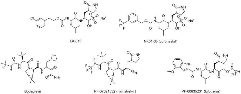 Figure 10