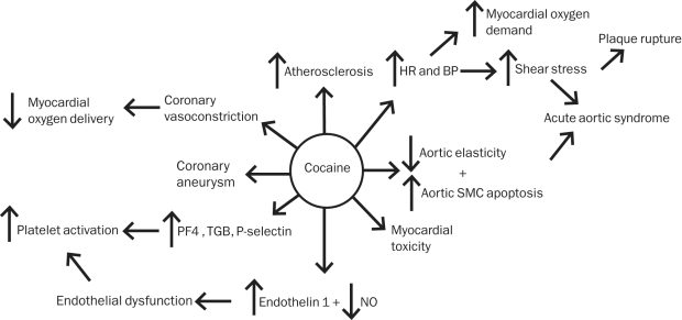 FIGURE 1.