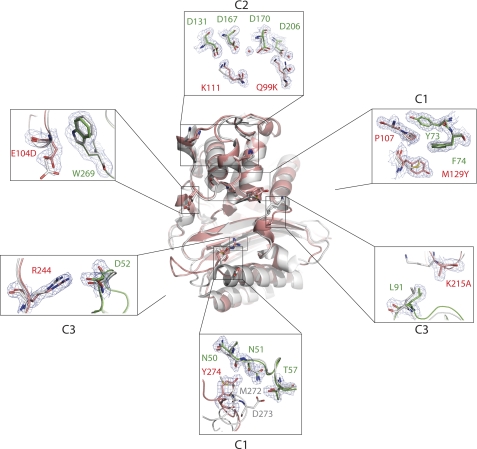 FIGURE 6.