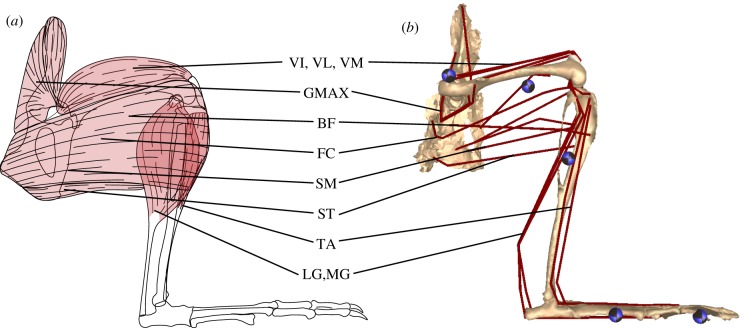 Figure 2.