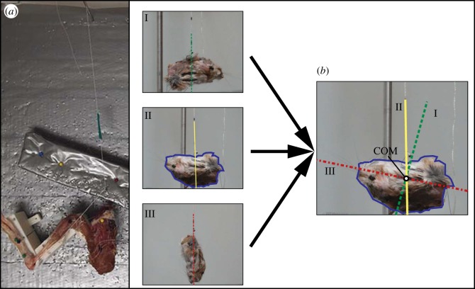 Figure 1.