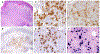 Fig 4.