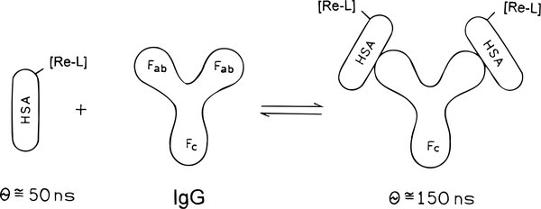 Scheme 1.