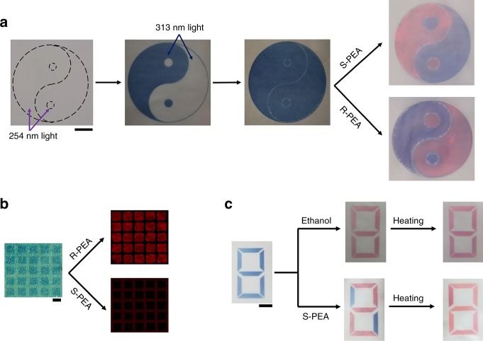 Fig. 4