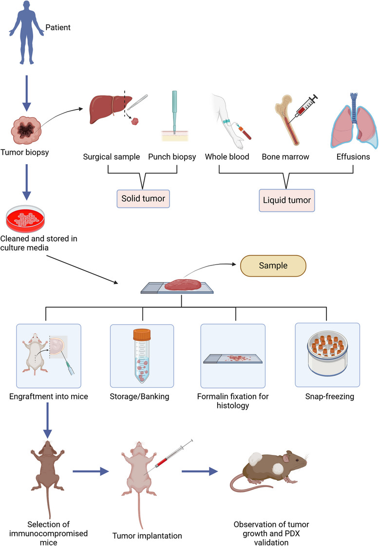 FIGURE 1