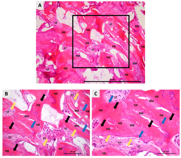 Figure 10